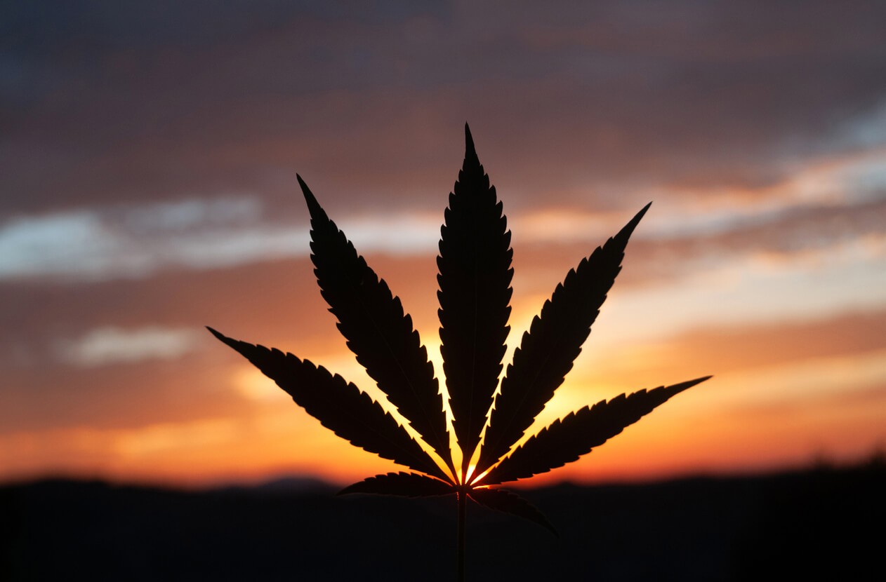 ATRI Wants Truckers Opinions on Marijuana