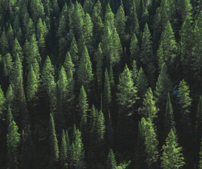 EPA Wants to Remove Greenhouse Gas Regulations