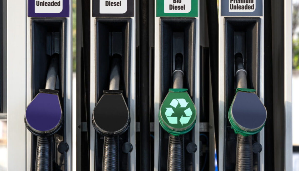 Georgia Lawmakers Suspend Fuel Tax